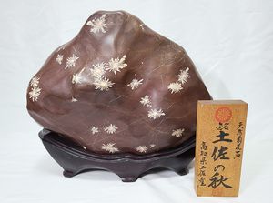 日本愛石館館長 小森宗閑 根尾谷産菊花石 紅花碧秋香 錦社麗花 重さ