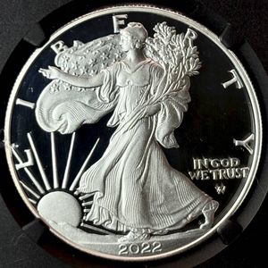 シルバー 1ドル コインの値段と価格推移は？｜66件の売買データから