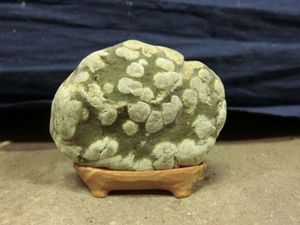 梅花石の値段と価格推移は？｜64件の売買データから梅花石の価値が