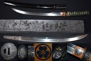 徳川 紋のYahoo!オークション(旧ヤフオク!)の相場・価格を見る｜Yahoo