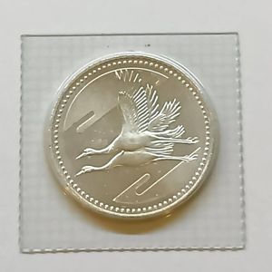 皇太子殿下御成婚 純銀の中古価格は11,004円｜記念硬貨の新品・中古の