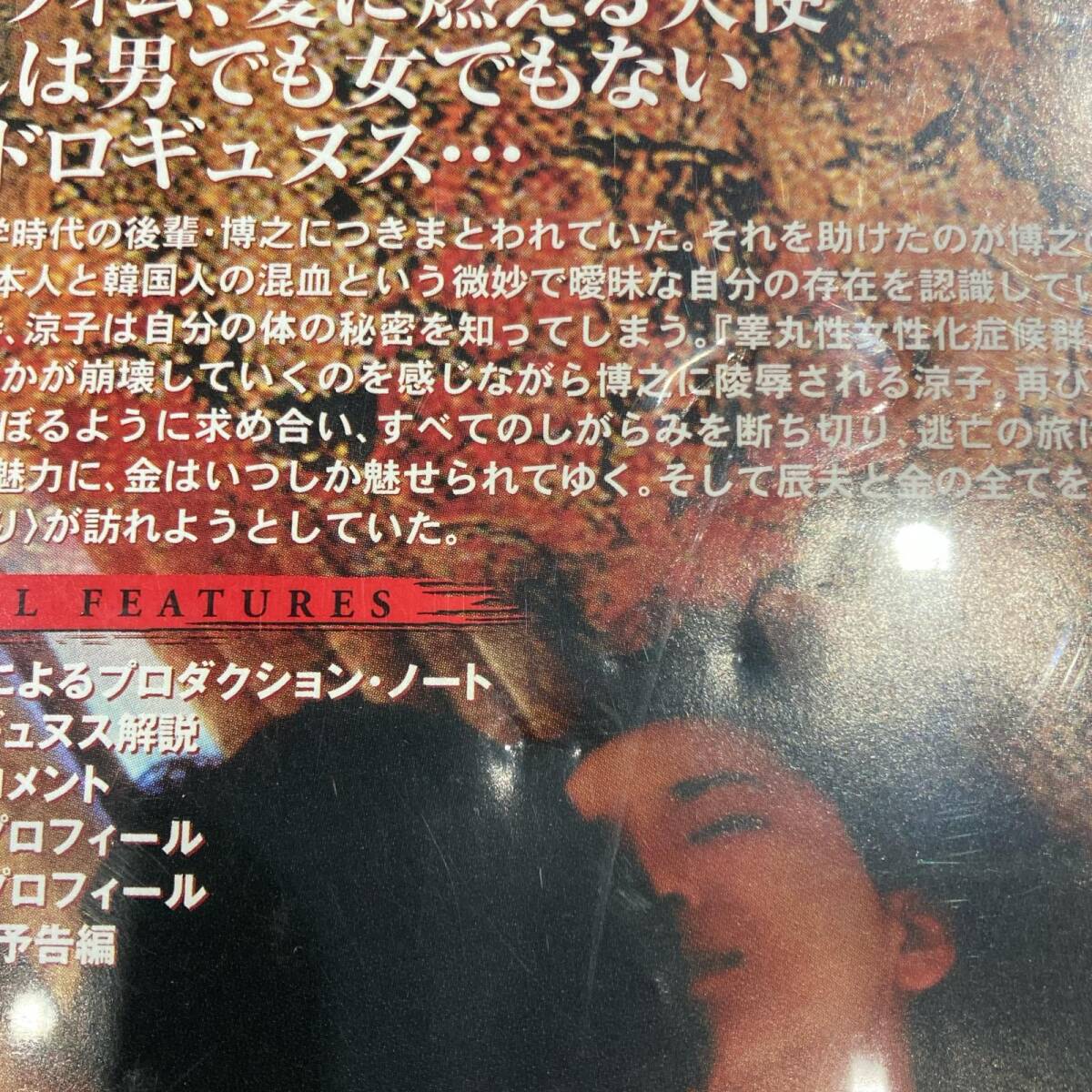 セラフィムの夜 DVD 希少 セラフィムの夜 高橋伴明 監督 / 大沢逸美 西島秀俊 主演