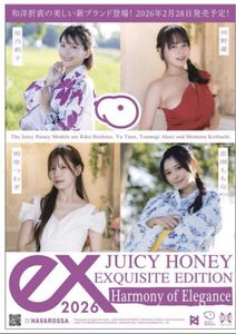 ジューシーハニーのYahoo!オークション(旧ヤフオク!)の相場・価格を