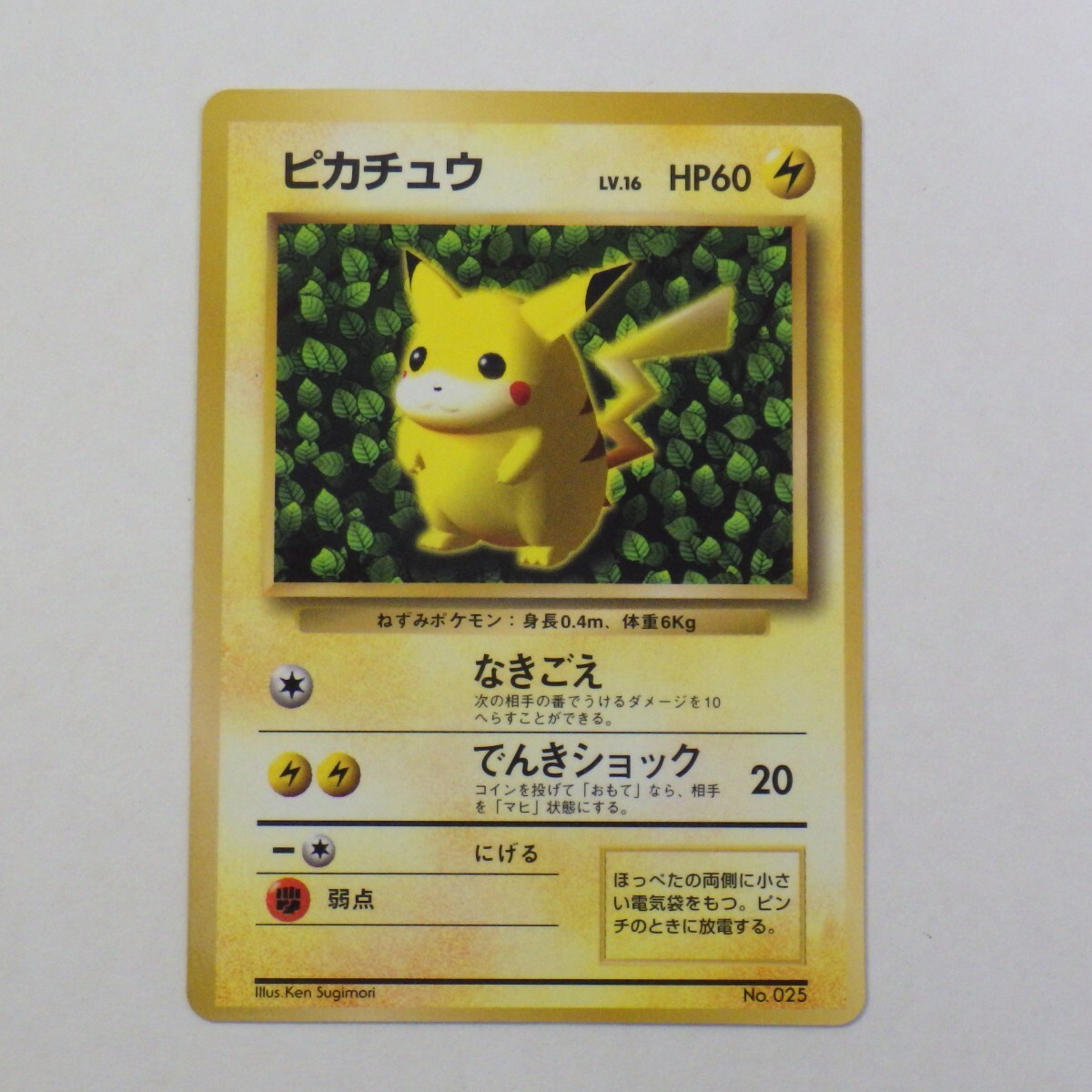 ChaosTCG 引退品 サイン デッキ多数 ChaosTCG 引退品 サイン デッキ多数 【公式通販】