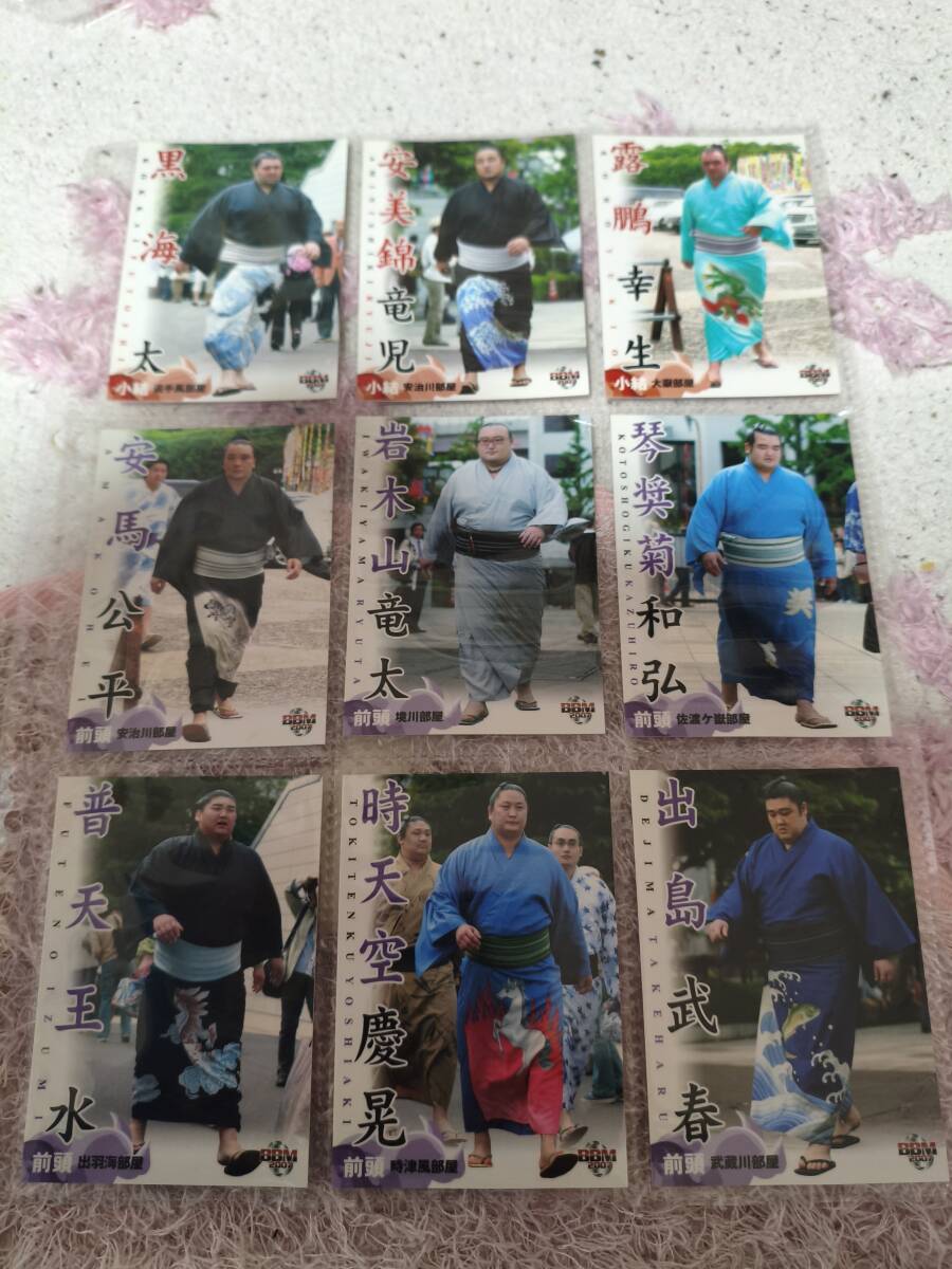 BBM2025 大相撲カード 和 新品未開封ボックス 豊昇龍 大の里 SUMO 