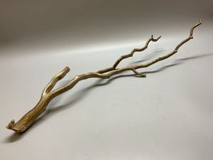 海松 珊瑚の値段と価格推移は？｜82件の売買データから海松 珊瑚の価値