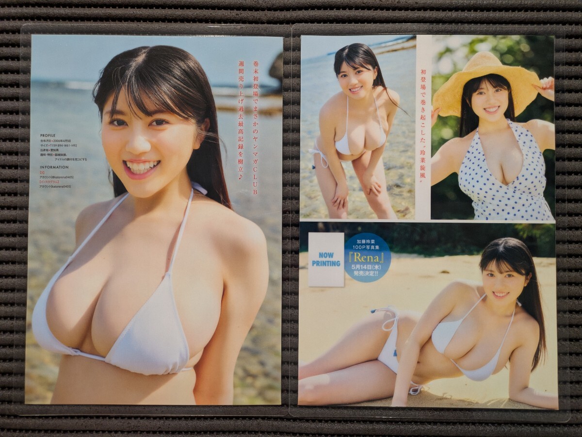 厚手150μラミネート加工/加藤玲菜】ヤングマガジン2026年No.22・23
