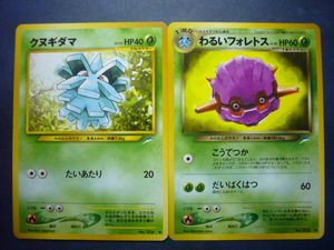 クヌギダマの値段と価格推移は？｜9件の売買データからクヌギダマの