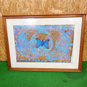 蝶 羽 絵画の値段と価格推移は？｜4件の売買データから蝶 羽 絵画の