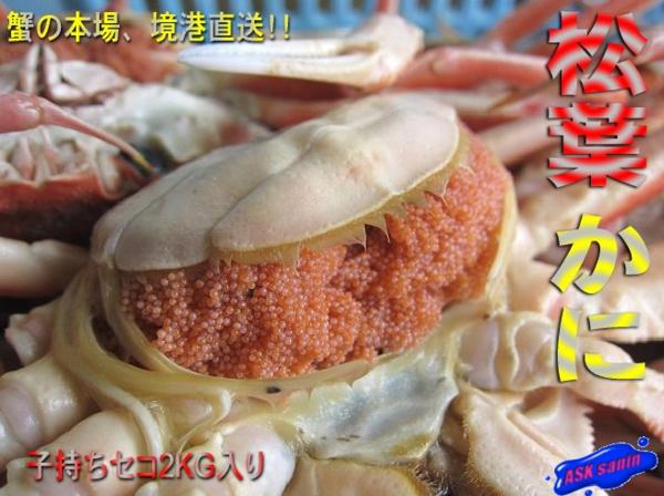 (10)浜茹で「子持ち松葉蟹セコ2kg」■蟹の王様■【カニセール】