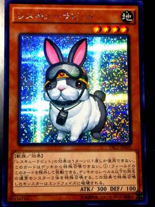 レスキューラビットの値段と価格推移は？｜4件の売買データから