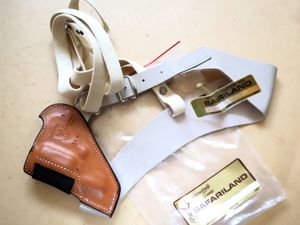サファリランドの値段と価格推移は？｜315件の売買データからサファリ