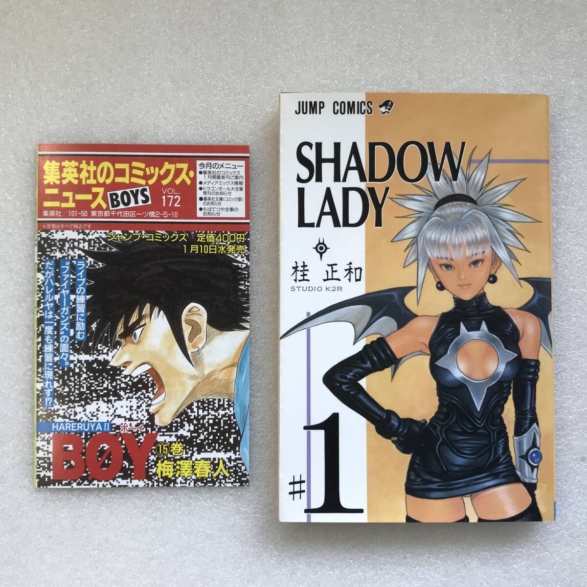 シャドウレディの値段と価格推移は？｜7件の売買データからシャドウ