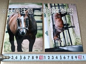 LD 競馬の値段と価格推移は？｜6件の売買データからLD 競馬の価値が