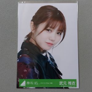 ヨ*人様 武元唯衣　浴衣 2024年　直筆 武元唯衣の値段と価格推移は？｜394件の売買データから武元唯衣の価値