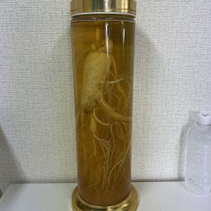 朝鮮人参酒の値段と価格推移は？｜18件の売買データから朝鮮人参酒の