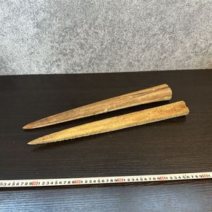 カジキ 角の値段と価格推移は？｜2件の売買データからカジキ 角の価値