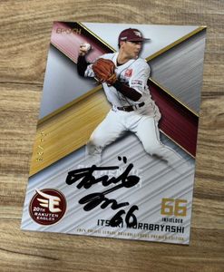 村林一輝の値段と価格推移は？｜66件の売買データから村林一輝の価値が