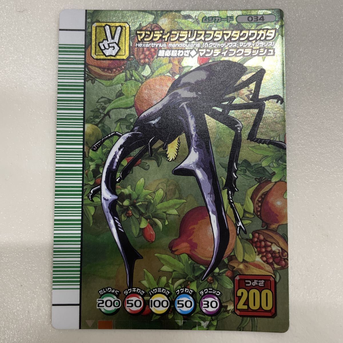 マンディブラリスフタマタクワガタの値段と価格推移は？｜200件の売買
