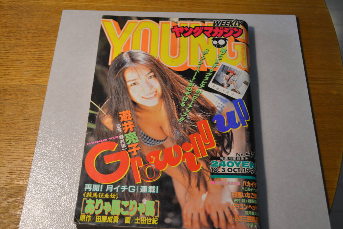 ヤングマガジン 1994の値段と価格推移は？｜6件の売買データからヤング