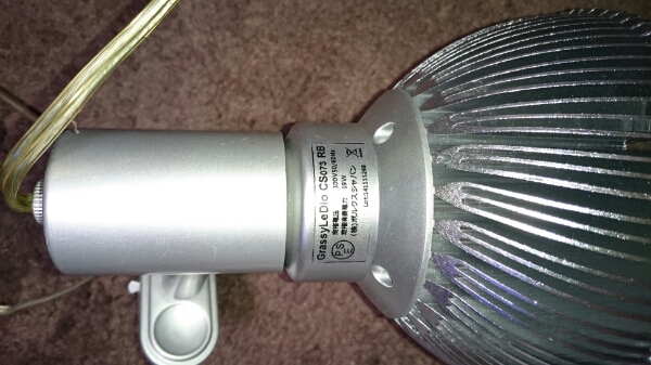 グッラシーレディオリーフブルー