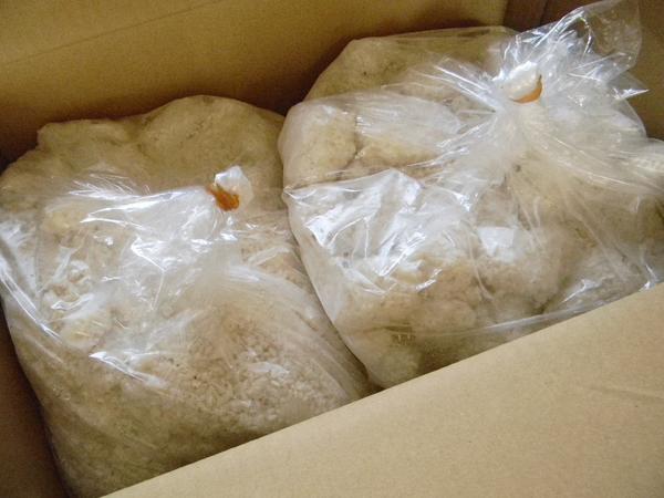 【おたまや】米麹5㎏×2袋（10．2㎏）生麹 こうじ 1等米丸米使用