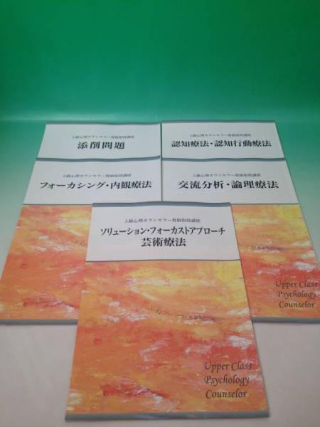 新作入荷，お買い得 DVD/メンタル心理カウンセラー 上級心理