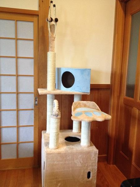 キャットタワー トイレ収納付き Beraxy 突っ張り キャットタワー