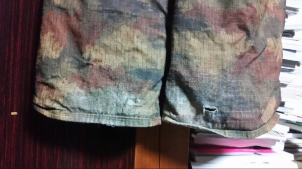 analog asset パンツ中古サイズL