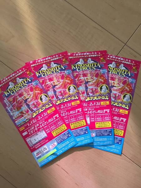 木下大サーカス平日・土曜 無料招待券（自由席）４枚　送料無料