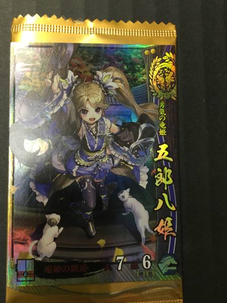 戦国大戦 五郎八姫 SSR 公式通販 1477-1615 日ノ本 | Tony 一統への