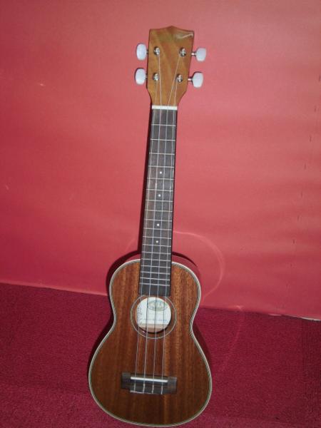 □【美品】KALA カラ ウクレレ KA-SLNG I 305 ケース付き□/B