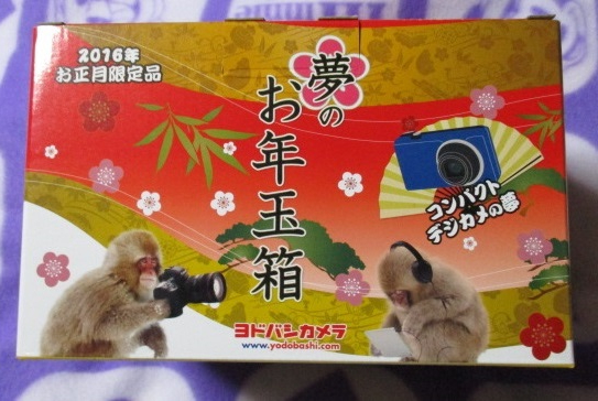 ヨドバシカメラ お年玉箱 コンパクトデジカメの夢2016