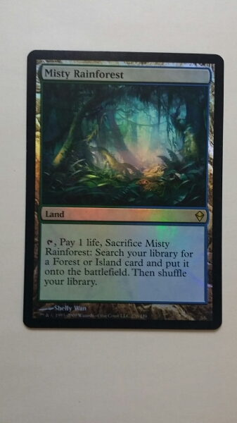 英語 霧深い雨林 MTG Rainforest 公式通販 霧深い雨林⁄Misty EXP mtg 旧