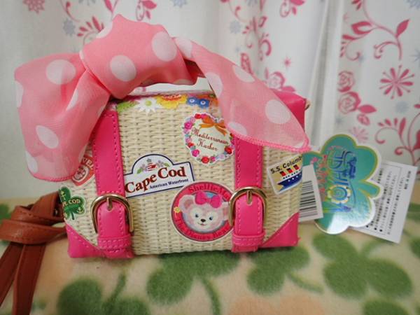 TDS カメラケース ダッフィー 「ミッキーとダッフィーの スプリング 