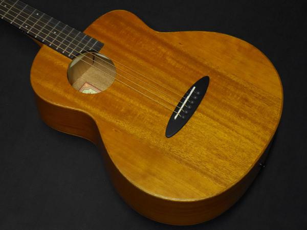 新品 aNUENUE Bird Guitar aNN-M2 【公式通販】