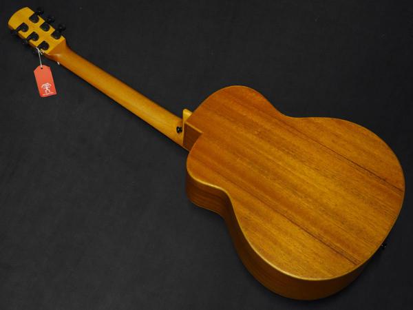 新品 aNUENUE Bird Guitar aNN-M2 【公式通販】
