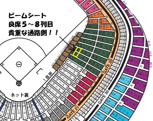 通路側■5/28(土)巨人VS阪神 1塁側ビームシート 5～8列 良席ペア