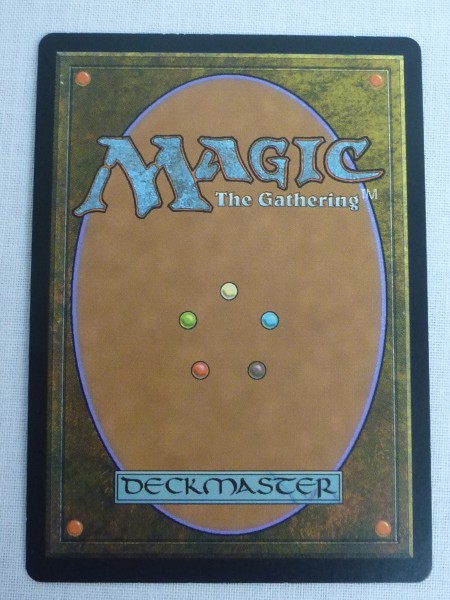 MTG 禁忌の果樹園 Forbidden Orchard Foil 英語 Magic: The Gathering