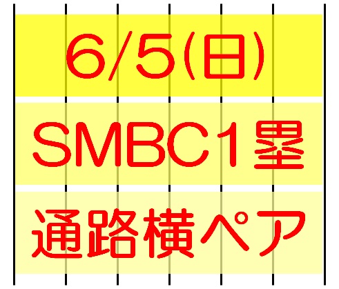 6/5(日)阪神vs西武 SMBCシート(1塁)通路横ペア 雨天補償♪