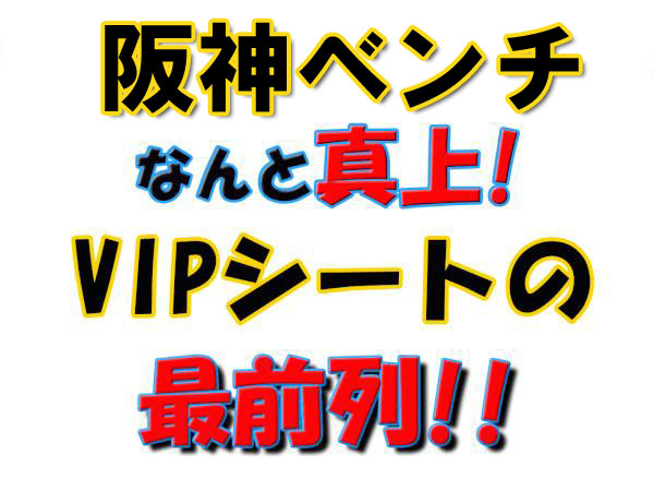 【阪神ベンチ真上VIPシートの最前列】6/2 楽天vs阪神 1枚