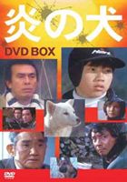 炎の犬 DVD-BOX 夏江麻岐