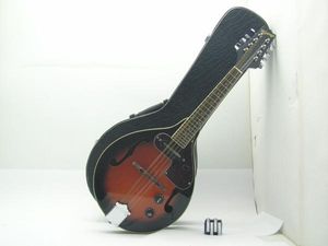 マンドリンのYahoo!オークション(旧ヤフオク!)の相場・価格を見る