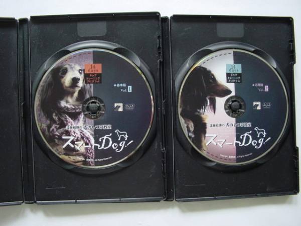 ◇犬のしつけ本・DVD美品の出品です！