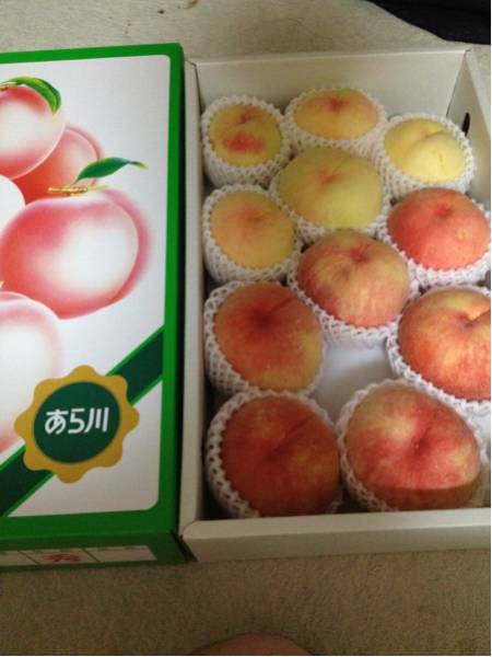 今年も出品します 和歌山 あら川の桃 訳あり品 13～15玉 約4kg