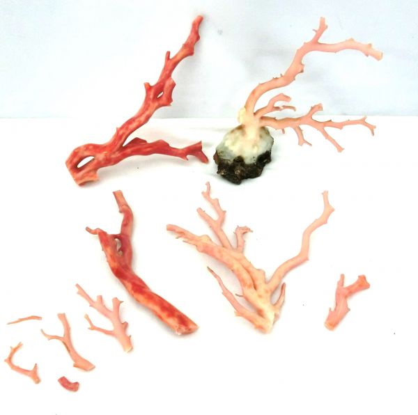 桃色珊瑚 コーラル 天然 枝 原木 411g 真贋済み 本物保証 165