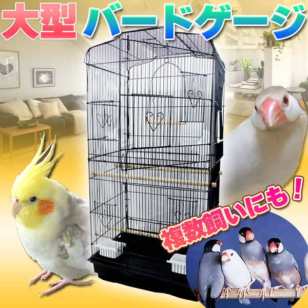 鳥かご バードゲージ 鳥小屋 送料無料 セキセイインコ ▽鳥かご 【公式