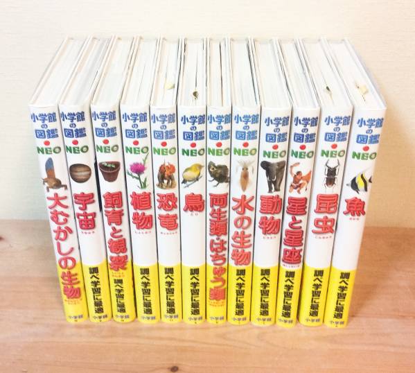 小学館の図鑑 NEO シリーズ全12巻セット 美品 NEO 図鑑まとめ売り