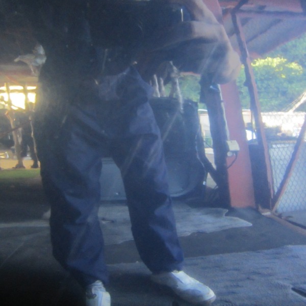 H19　オーリス　ZRE152　ボンネットフード　8S6