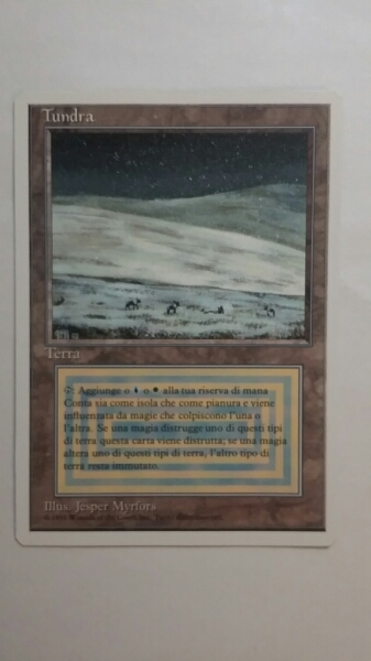⁄ Tundra3ED 買取相場-MtG-(イタリア語)Tundra No.289 白枠 イタリア語 3ED